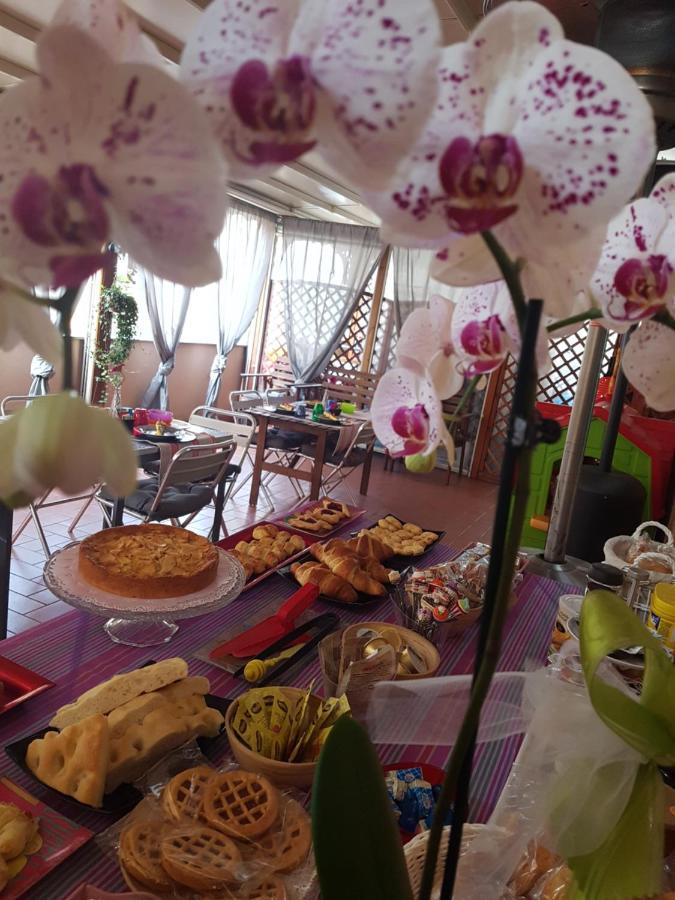 Ghiro Ghiotto Bed & Breakfast Pietra Ligure Luaran gambar